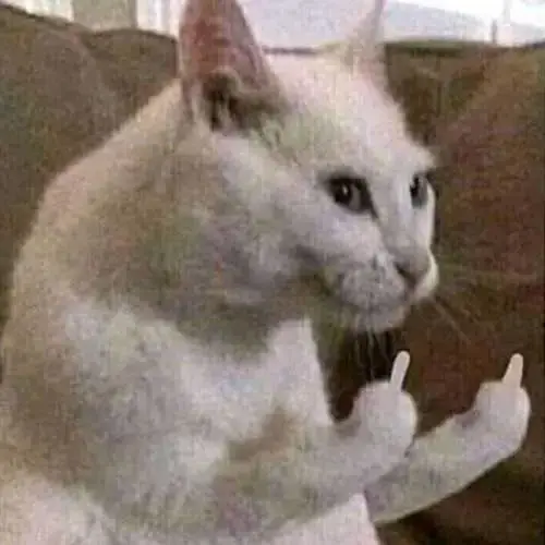 Meme 10