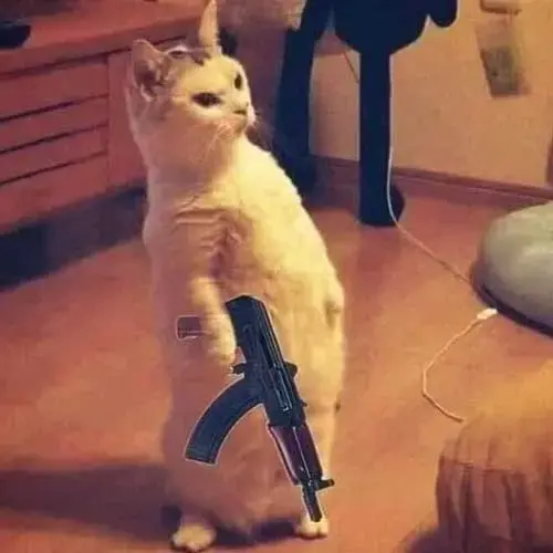 Meme 11