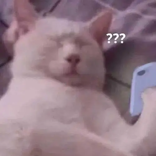Meme 13