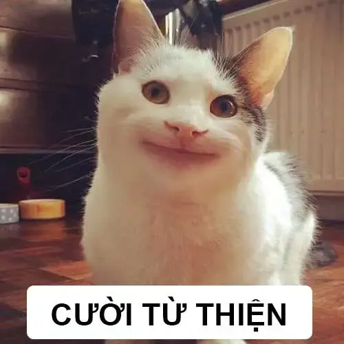 Meme 24