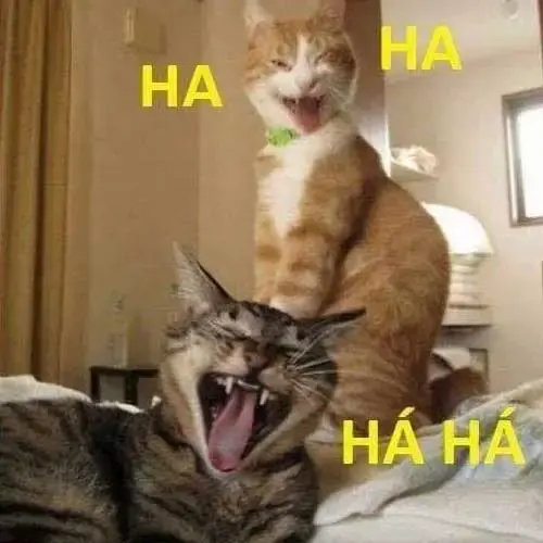 Meme 28
