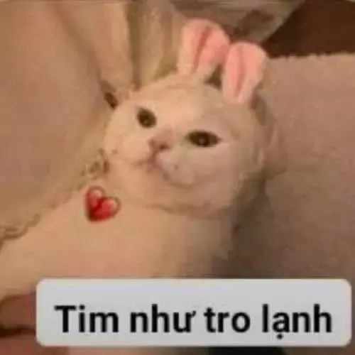 Meme 3