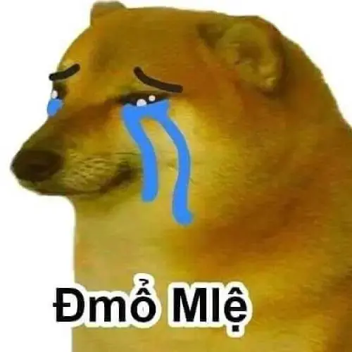Meme 30