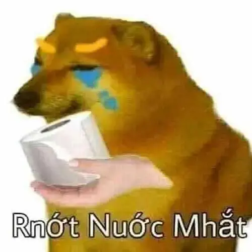 Meme 33