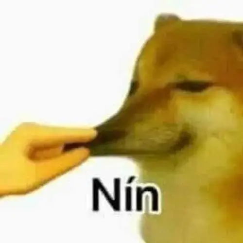Meme 37