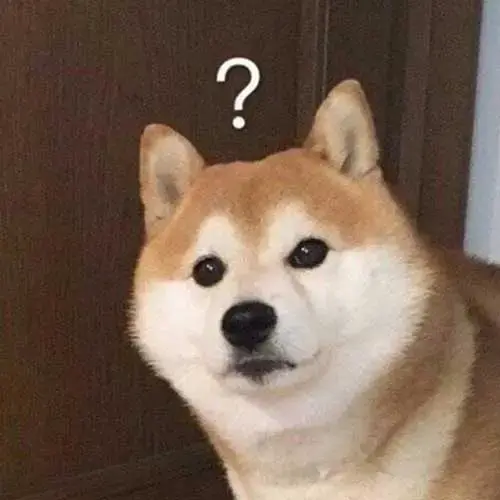 Meme 43