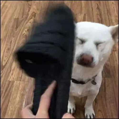 Meme 50