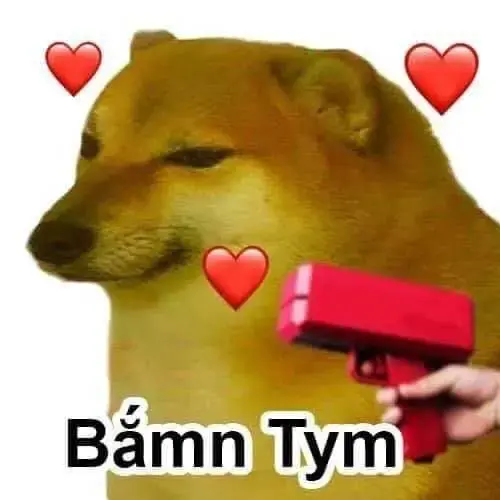 Meme 53