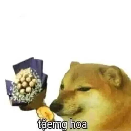 Meme 54