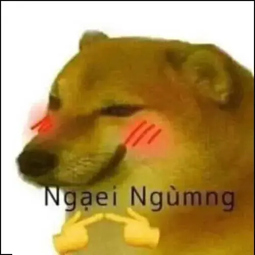Meme 56
